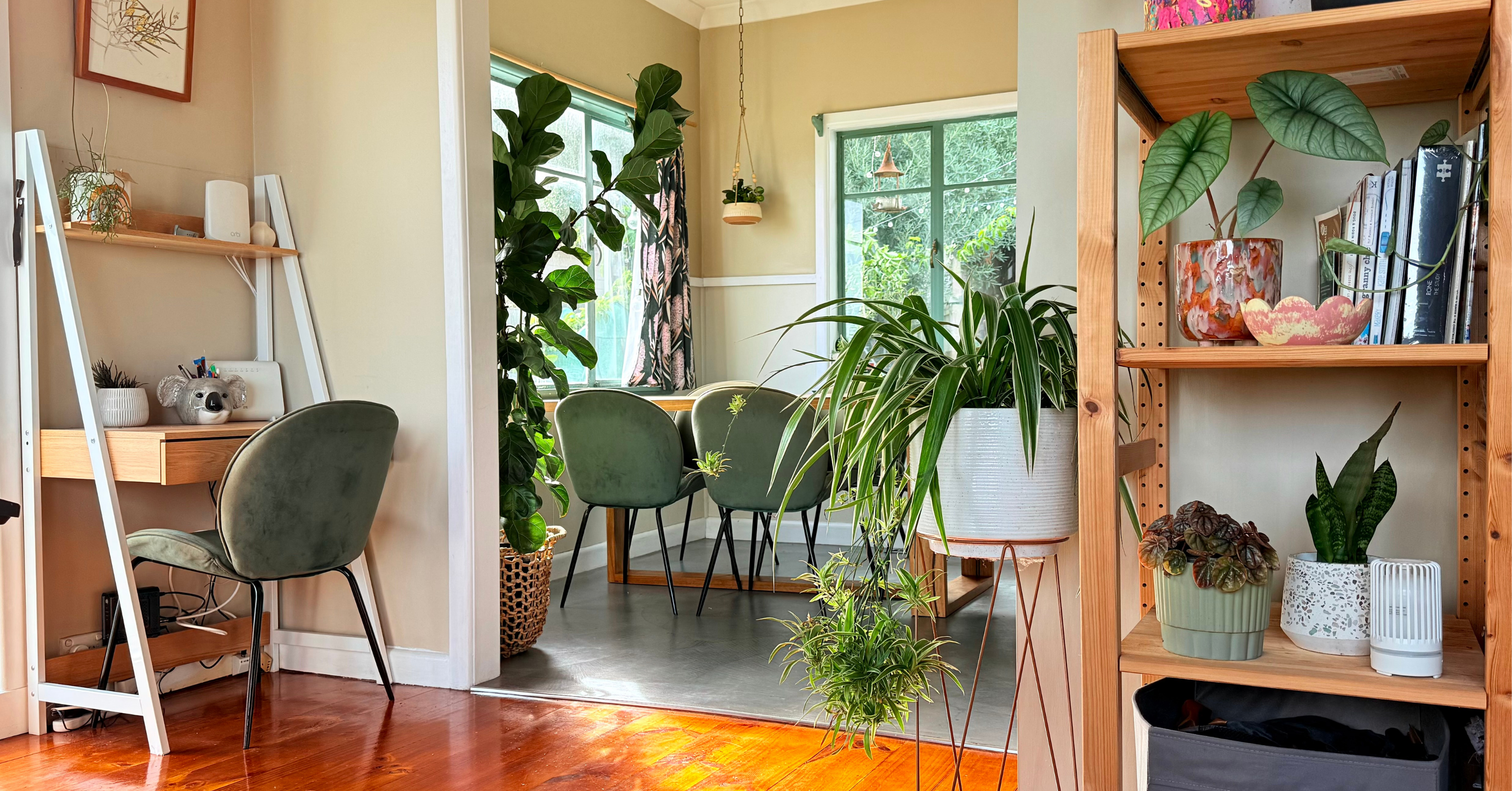 Home landscape filled with indoor plants amongst kitchen and Lounge room furniture